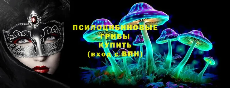 Псилоцибиновые грибы Psilocybine cubensis  блэк спрут маркетплейс  Буй  купить  